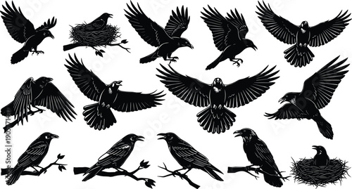 Black Raven and Crow Silhouette Vector Set Featuring Birds Flying Perching in Nests and Interacting for Gothic Nature Wildlife and Halloween Graphic Design Projects