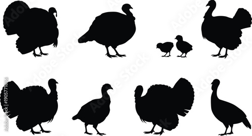 Turkey silhouettes collection set, black farm poultry and wild gobbler birds isolated on white background vector illustration