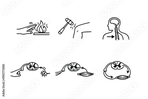 Health and medical icon set. Featuring first aid, wellness, pain relief, rehabilitation, anatomy, and treatment.