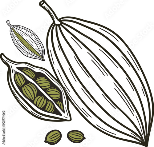 Organic Green Cardamom Spice