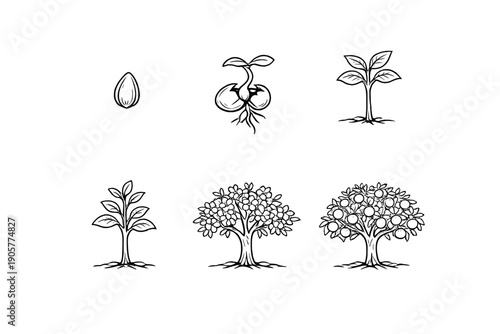 Nature and growth icons set. Containing seed, sprout, leaf, plant, tree, blossom, growth, garden, nature and more.