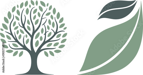 Nature tree illustration, eco leaves design, sustainability concept, environmental graphic, green ecology symbol, decorative foliage, organic growth, eco friendly art, conservation