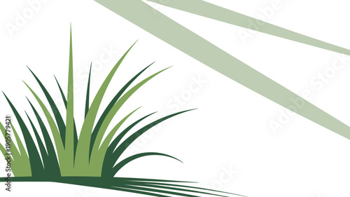 Grass vector illustration with green blades on white background