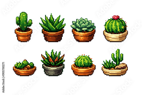 Plant and Pot Icon Set: Featuring cactus, succulent, aloe, terracotta, indoor, outdoor, green, flower, houseplant, garden, and more.