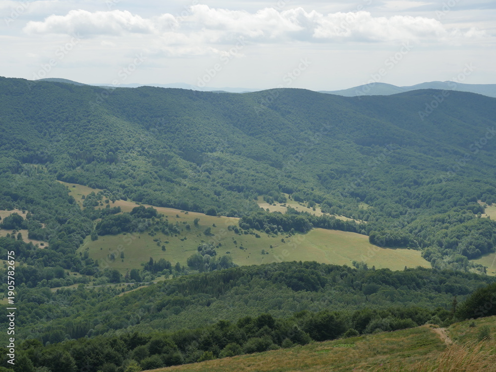 Obraz premium View of the meadows in the Bieszczady Mountains