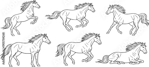 variety of vectors