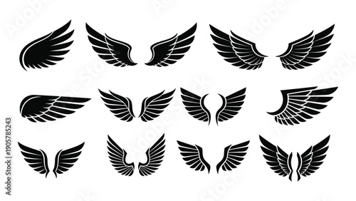 A diverse collection of various wing designs and patterns in a monochromatic color scheme Vector