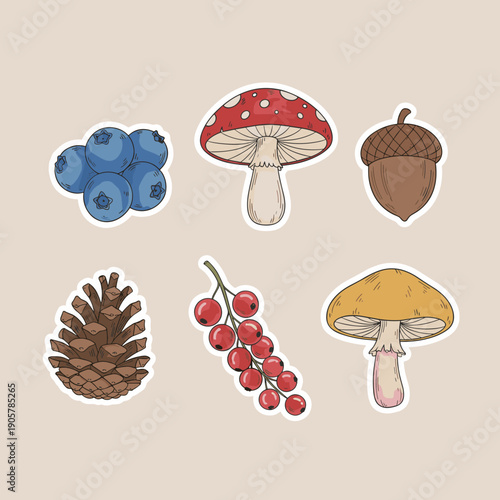 Hand drawn forest nature elements sticker set featuring berries mushrooms pine cone and acorn in vintage organic style for autumn design