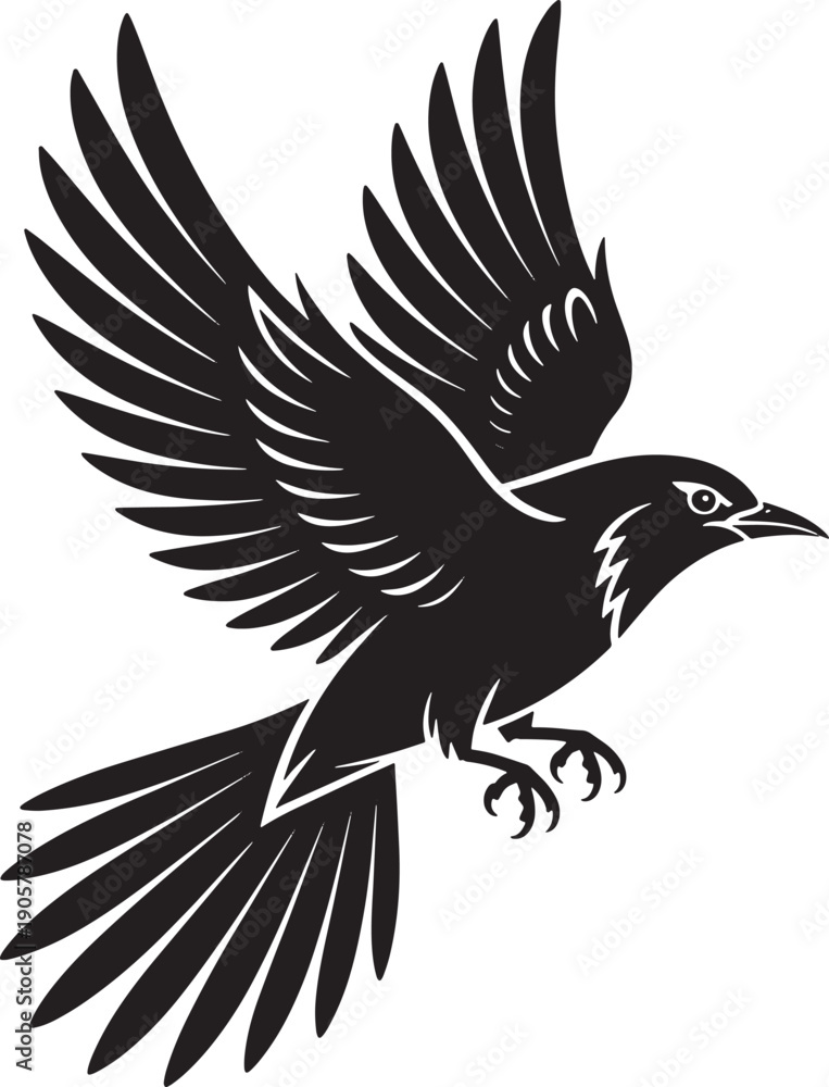 Obraz premium Bird in midflight with outstretched wings