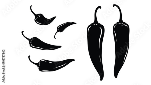 A variety of chili peppers illustrated in black and white Vector