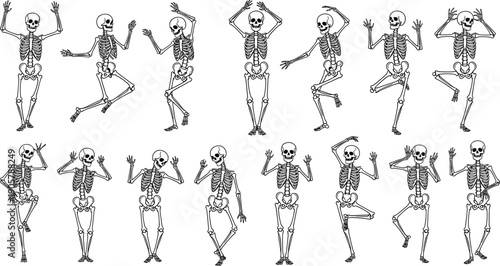 Human skeleton dancing poses set, anatomical bone figures performing movements, spooky illustration, medical anatomy art, isolated white background, vector collection