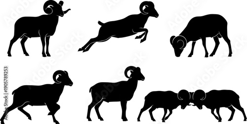Ram silhouette collection wild sheep animal set jumping standing fighting wildlife illustration black isolated nature graphic