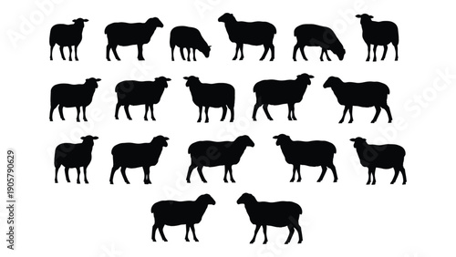 A diverse collection of sheep silhouettes in various poses and orientations Vector