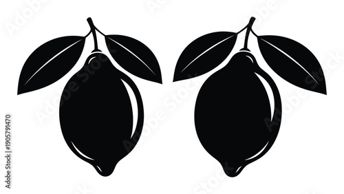 Two black avocados with leaves attached, depicted in a minimalist style. Vector