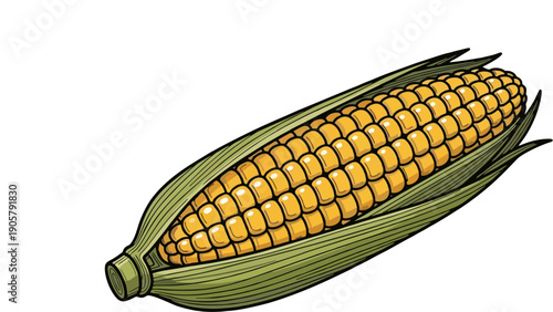 corn cobs isolated on white