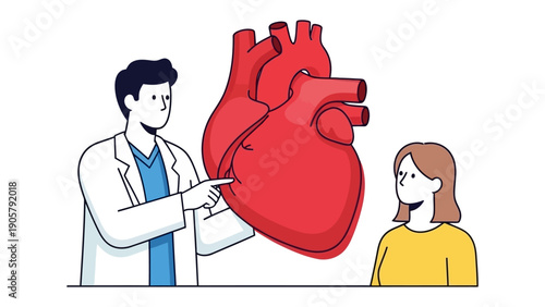 Heart Health Education: A medical professional points to a model of a healthy heart, engaging in a consultation with patient