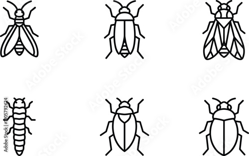 Insect and Bug Icon Set Minimalist Black Outline Vector Illustration of Beetles and Pests