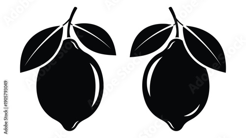 Two black and white illustrations of avocados with leaves on a white background Vector