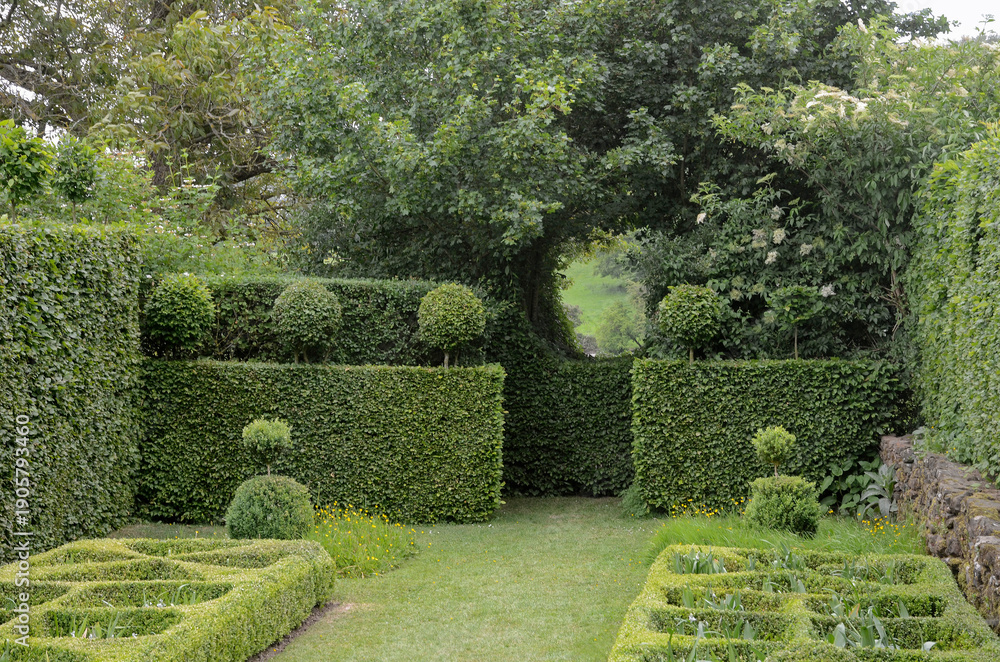 Fototapeta premium Haie de charme, Buis taillé, Jardins de la ferme du mont des Récollet, Cassel, 59, Nord, France