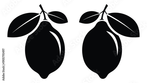 Two ripe lemons with leaves, depicted in a minimalist black and white illustration Vector