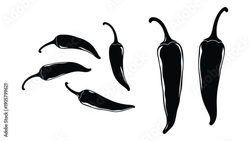 Assorted varieties of chili peppers illustrated in black and white Vector