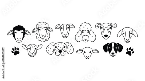 Assorted black and white illustrations of various animals and their paw prints Vector