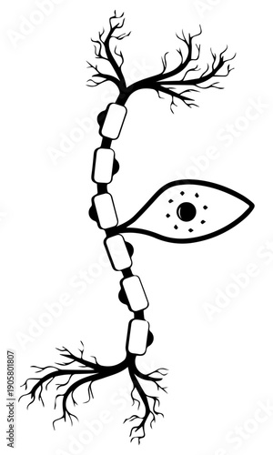 Neural Eye Perception