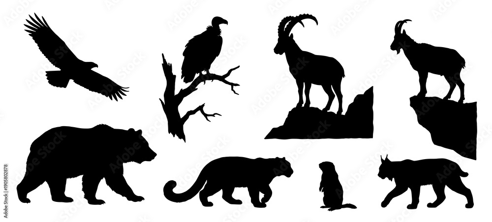 Obraz premium Collection of black silhouettes featuring mountain wildlife such as grizzly bear flying eagle perched vulture ibex lynx and cougar
