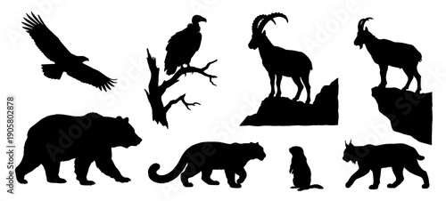 Collection of black silhouettes featuring mountain wildlife such as grizzly bear flying eagle perched vulture ibex lynx and cougar