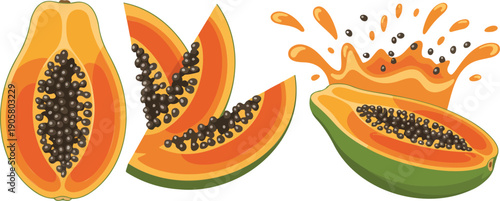 Ripe Papaya Fruit Illustration Set with Whole, Sliced and Splashing Pieces