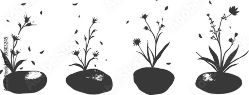 Silhouettes of plants growing from stones with falling leaves in black and white minimal