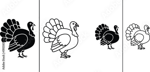 A variety of birds including turkeys and chickens in a row