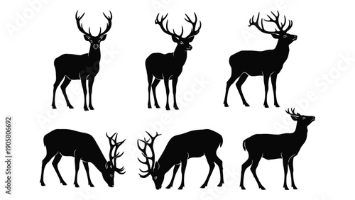 Six black silhouettes of deer in various poses against a white background Vector