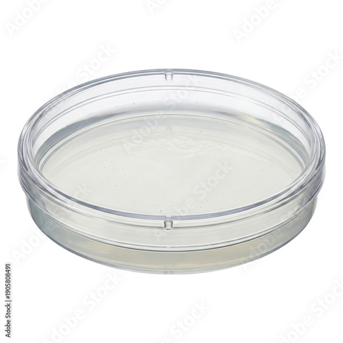 Photos Clear petri dish with culture medium on transparent background