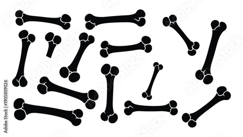 Assorted bone shapes scattered on a white background for artistic or educational purposes Vector