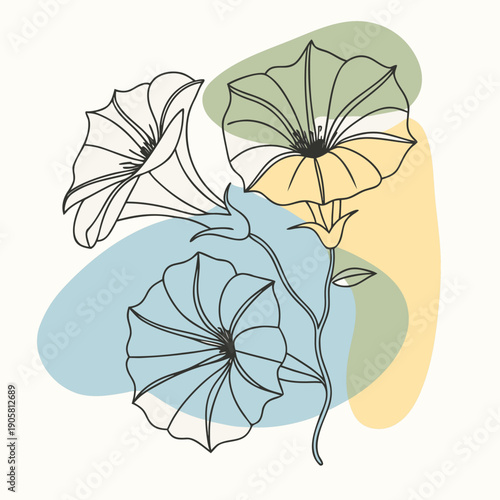 Abstract botanical line art with colorful geometric shapes and delicate flower outlines on white background.