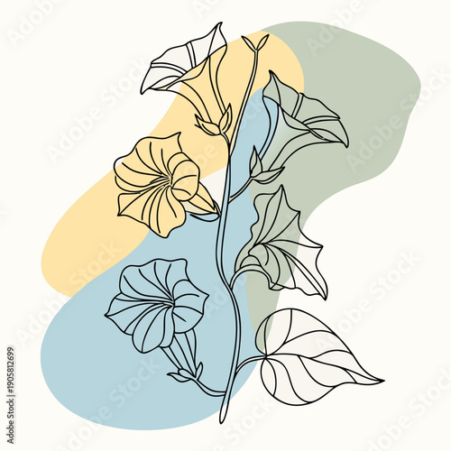 Elegant line art of morning glory flower with soft abstract colored background for modern botanical design.