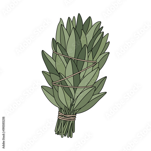 Illustration of a sage smudge stick isolated on a white background, featuring green leaves tied with twine, minimalist style