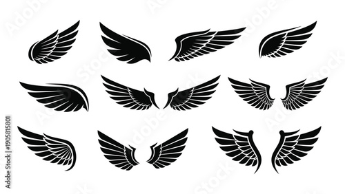 A collection of various angel wing designs in black and white Vector