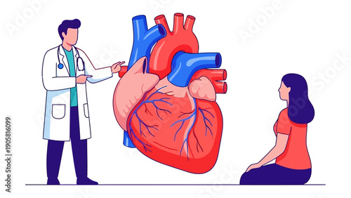 Doctor Explaining the Heart to Patient: A doctor points to a detailed model of the human heart, explaining its function to a patient.