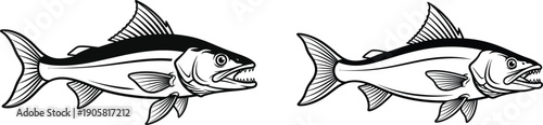 Two stylized fish illustrations showcasing different perspectives and details