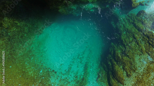 Canvas-taulu Turquoise spring water surrounded by lush green forest