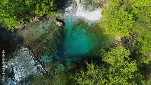 Fotografi Turquoise spring water surrounded by lush green forest