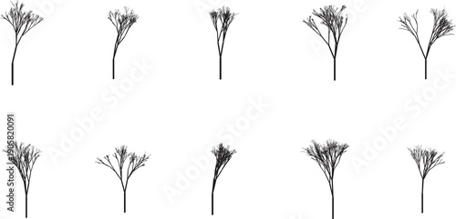 10 abstract fractal tree-like structures in black and white, depicting branching patterns and organic growth. Each element is isolated on a transparent background