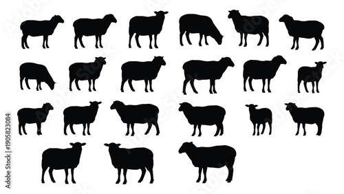 A collection of various sheep silhouettes in different poses and orientations Vector