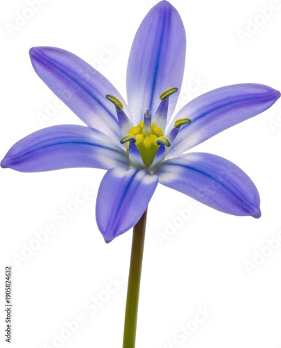 A vibrant blue flower with six petals and a yellow center on transparent background