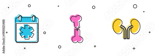 Set Doctor appointment, Human broken bone and kidneys icon. Vector