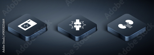 Set Isometric Monitor with cardiogram, Human kidneys and Joint pain, knee pain icon. Vector