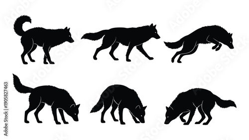 Six black silhouettes of foxes in various poses and positions Vector