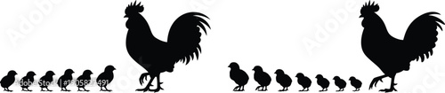 Two roosters with their respective chicks in a farm setting illustration